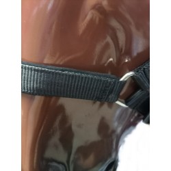 Cabezada Cuadra Padded