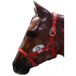 Cabezada Cuadra Padded