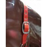 Cabezada Cuadra Padded