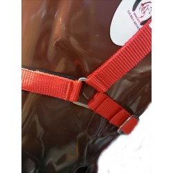Cabezada Cuadra Padded