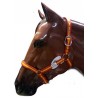 Cabezada Cuadra Padded