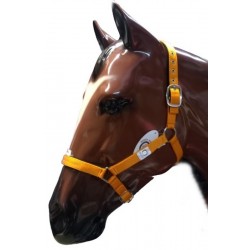 Cabezada Cuadra Padded