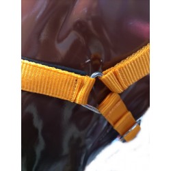 Cabezada Cuadra Padded