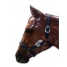 Cabezada Cuadra Padded