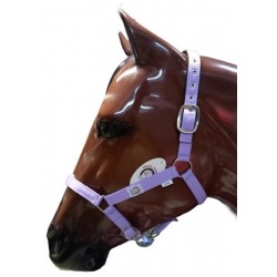 Cabezada Cuadra Padded