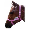 Cabezada Cuadra Padded