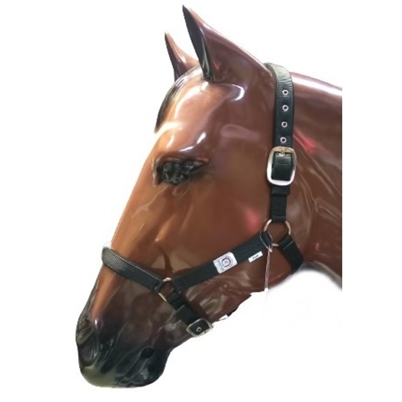 Cabezada Cuadra Padded