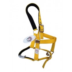 Cabezada Cuadra Padded