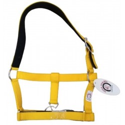 Cabezada Cuadra Padded