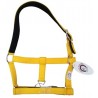 Cabezada Cuadra Padded