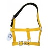 Cabezada Cuadra Padded