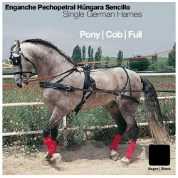 Enganche Hungara Pecherin