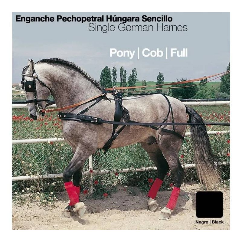 Enganche hungara pecherin