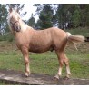 Hispano Breton Palomino