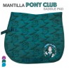 Mantilla Pony Club