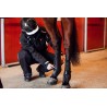 Protector Fetlock - Horze