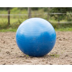 Balón Caballos