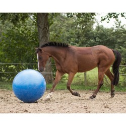 Balón Caballos