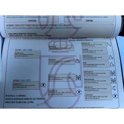 Potra Alazana PRE