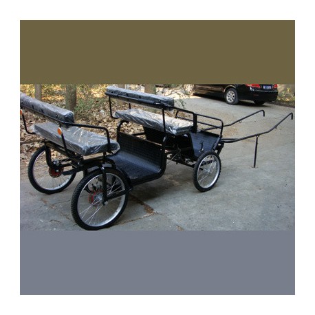 carro 4 ruedas