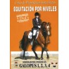DVD Equitacion Por Niveles