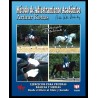 DVD Ejercicios Para Pruebas Básicas Y Medias