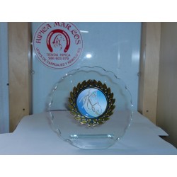 TROFEO 8