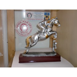 TROFEO 13