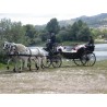 CASAMENTO 3 CAVALOS