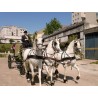 CASAMENTO 3 CAVALOS
