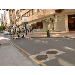 carruaje boda caballos, carro ceremonia, eventos, comunión Galicia