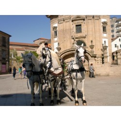 carruaje boda caballos, carro ceremonia, eventos, comunión Galicia