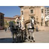 carruaje boda caballos, carro ceremonia, eventos, comunión Galicia