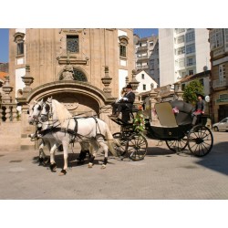 CASAMENTO 3 CAVALOS