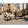 carruaje boda caballos, carro ceremonia, eventos, comunión Galicia