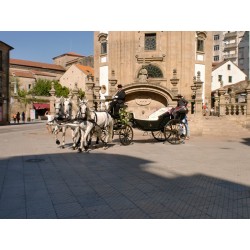 CASAMENTO 3 CAVALOS