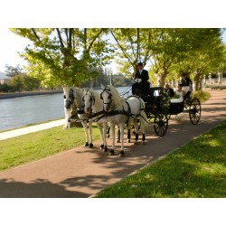 carruaje boda caballos, carro ceremonia, eventos, comunión Galicia