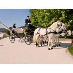 carruaje boda caballos, carro ceremonia, eventos, comunión Galicia