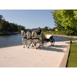 carruaje boda caballos, carro ceremonia, eventos, comunión Galicia