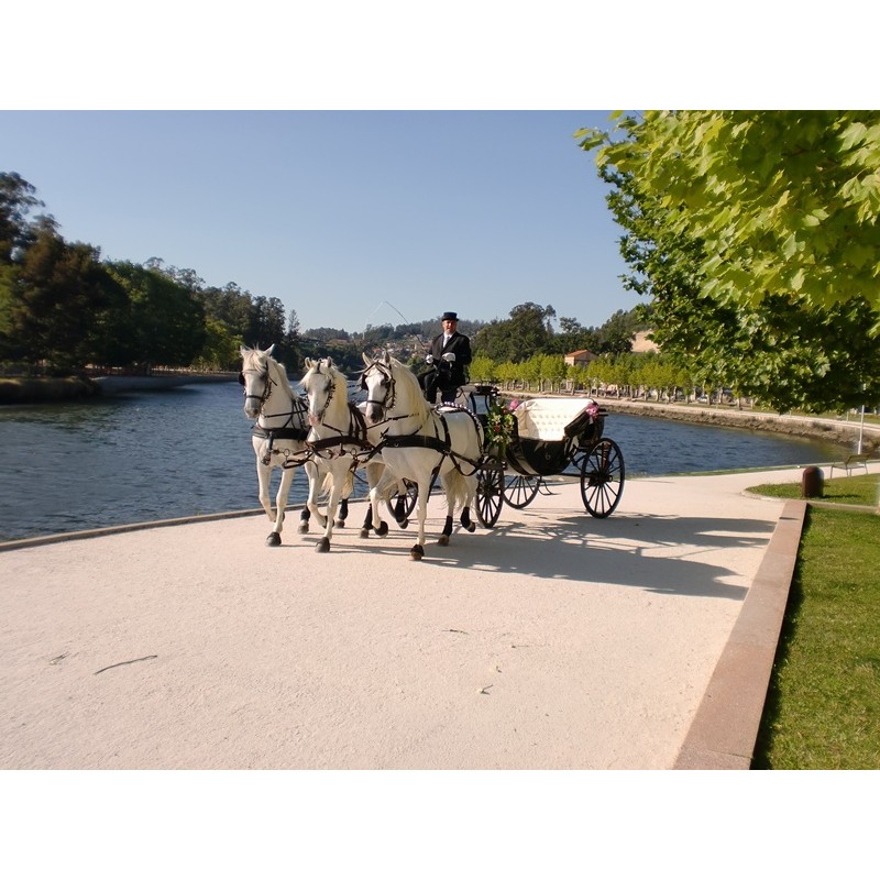 carruaje boda caballos, carro ceremonia, eventos, comunión Galicia