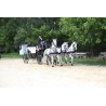 CASAMENTO 3 CAVALOS