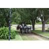 carruaje boda caballos, carro ceremonia, eventos, comunión Galicia