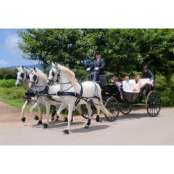 carruaje boda caballos, carro ceremonia, eventos, comunión Galicia