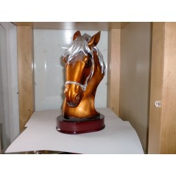 TROFEO 15