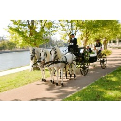 carruaje boda caballos, carro ceremonia, eventos, comunión Galicia