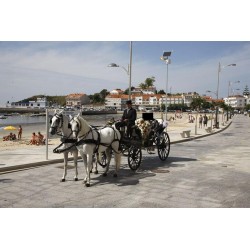 carruaje caballos boda, carro ceremonia, comunión evento Galicia