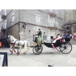 carruaje caballos boda, carro ceremonia, comunión evento Galicia