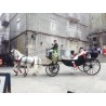 carruaje caballos boda, carro ceremonia, comunión evento Galicia