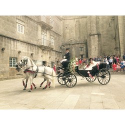 carruaje caballos boda, carro ceremonia, comunión evento Galicia