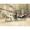 carruaje caballos boda, carro ceremonia, comunión evento Galicia
